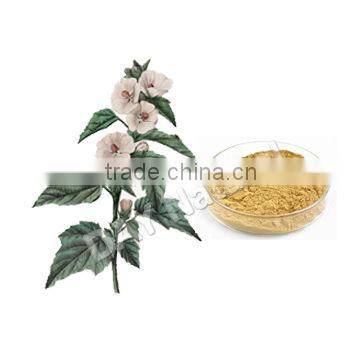 Herbal Extract Marshmallow Extract Raw Material Of Cosmetic