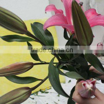 Factory direct sell cheap lili flower head lili collect