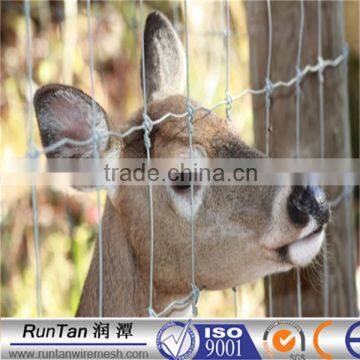 China manufacturer deer fences with fix knot( OEM&ODM )