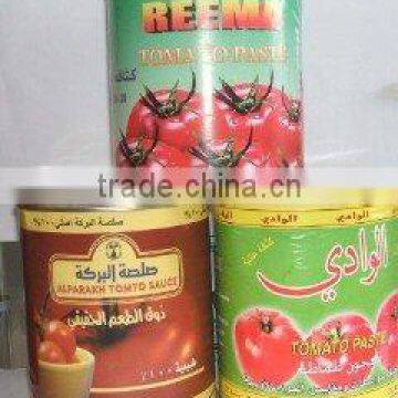 canned tomato paste export to Afica 1kg