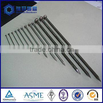 Best Selling 2-1/2" 8D Hot-dipped Galvanized Ring Shank Patio Nail photo-6