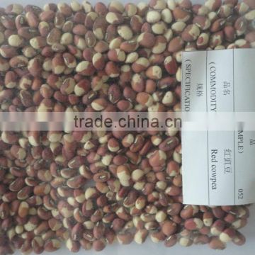 red cowpea