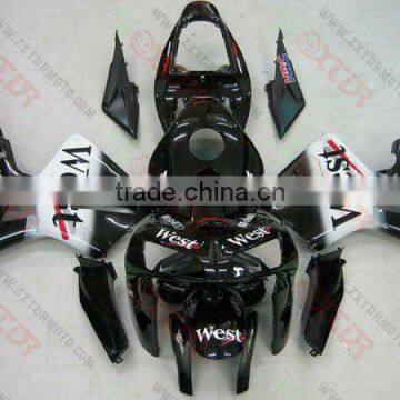 High Performance Racing bike fairings