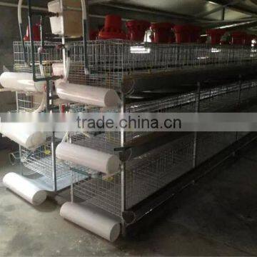 poultry manure belts