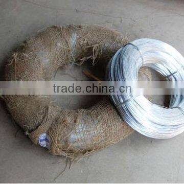 Hot Sale Electro Galvanized Iron Wire Bwg22 photo-2