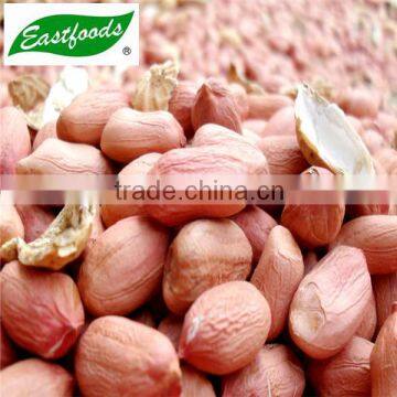 New Crop Peanut Kernel photo-2