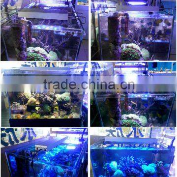 Factory price led aquarium light on coral reefs and biological effect is very good(AQL-2X-112W)