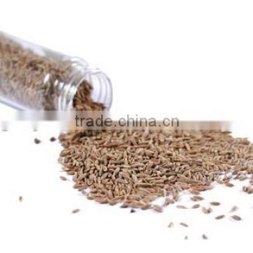 Pure Cumin Oil | 100% Natural Cumin Oil From India(BORG EXPORT)