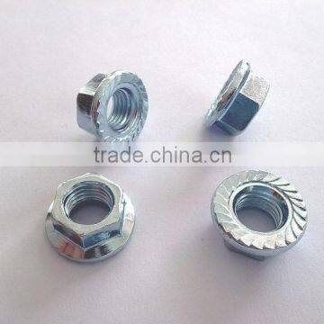 Stainless Steel 304 Flange Nut