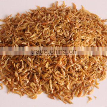 Wholesale Tenebrio Molitor for Chicken Feed