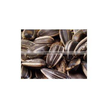 SUNFLOWER SEEDS photo-5