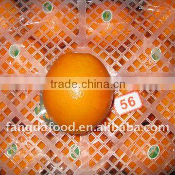 Chinese best price fresh honey navel orange