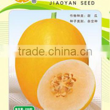 Big Fruit Hybrid Yellow Sweet Melon Seeds For Planting-Red Baby F1