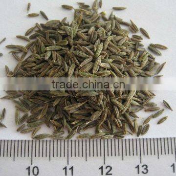 Black Cumin Seed Cumin Seeds