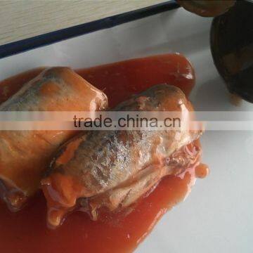 Canned , preserved style mackerel variety canned mackerel