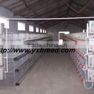 Poultry farm cage for broilers