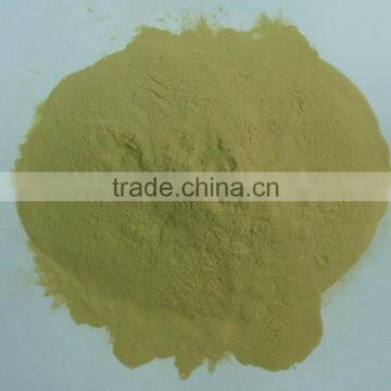 Green Alga Extract Powder photo-2
