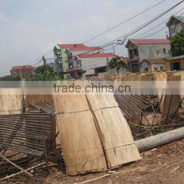 EUCALYPTUS CORE VENEER THUAN PHAT VIETNAM