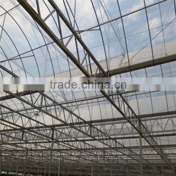 Modern design low cost / cheap Glass green houses for agriculture