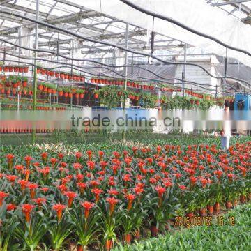 Large Tunnel Galvanized Agricultural Greenhouse for Green Vegetables photo-6
