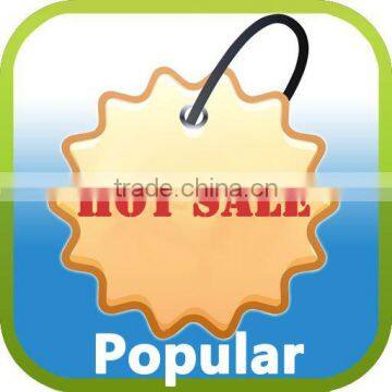 Wireless Outdoor PIR Morion Sensor PIR-100D photo-5