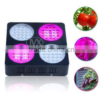 Waterproof Hydroponic Red Bule Color Best 250W X-Grow LED Grow Light