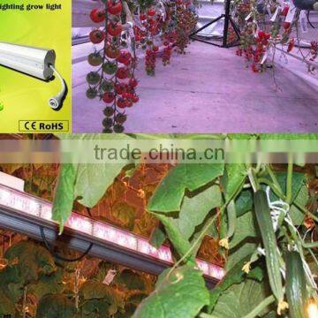 High PPFD Double Side Led Tube Light on Sale photo-4