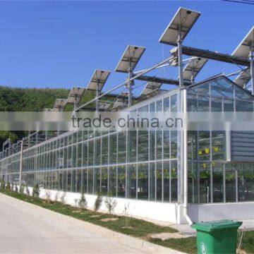 High Quality Glass Covered Tomato Seed for Greenhouse photo-3