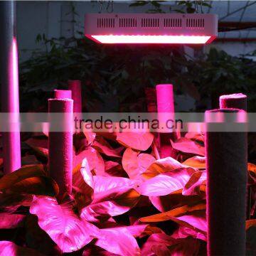 Better Than Mars ii Led Grow Light 600w Fruit Green Full Spectrum 5w Led Grow Light photo-5