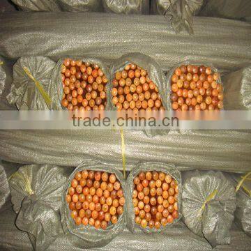 1200mm x 22mm Varnished Wooden Mop Handle
