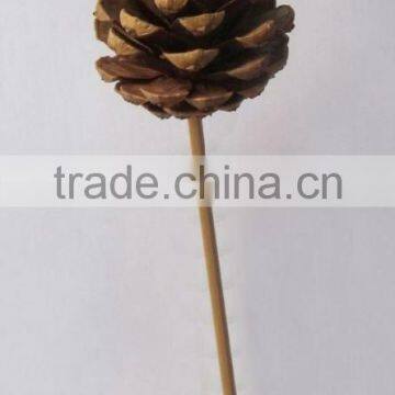 pine cones on a stick