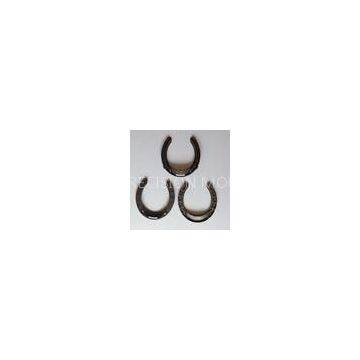 Personalised Racing Plates Horseshoes On Horses 1501408mm