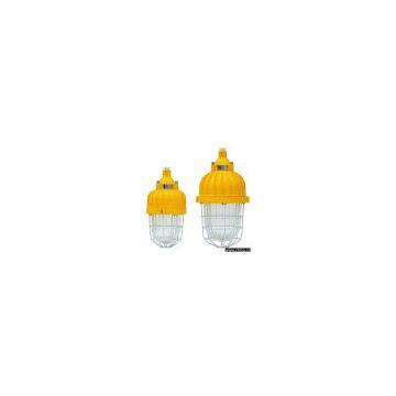 Explosion-Proof Energy-Saving Lighting