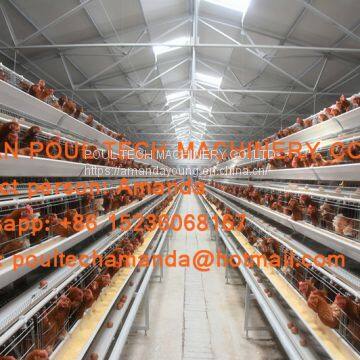 Объединенные Арабские Эмираты. Ячейчные клетки для кур-телочек типа A photo-2