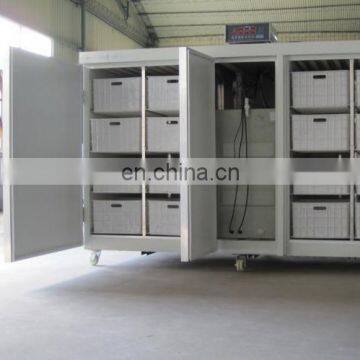 top selling hydroponics barley sprouting machine