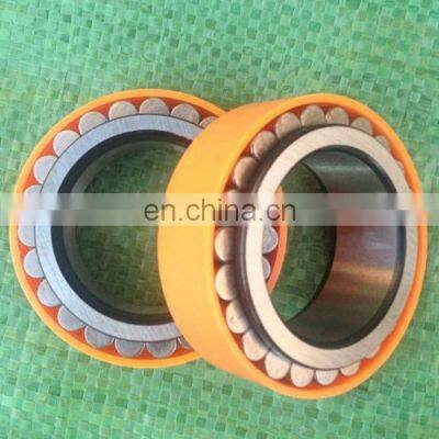 Gearbox Bearing RSL182307 Double Row Full Complement Roller Bearing RSL 182307