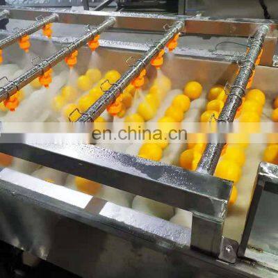 Industrial Brush Roller Vegetable Washing Ginger Washer Apple Fruit Washing Machine photo-4