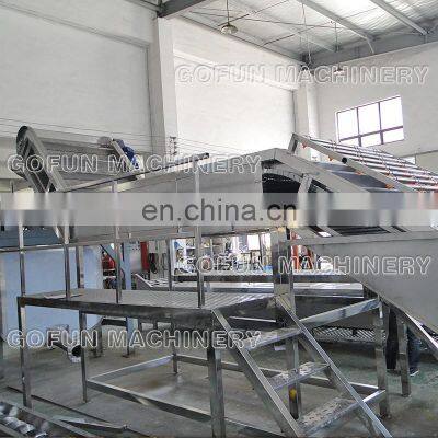 Fruit vegetable washing and sorting machine