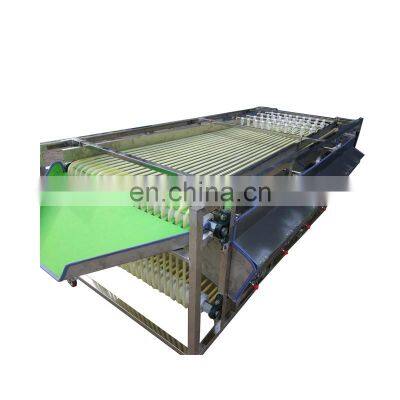 Stainless Steel Fruit Sorting Machine for Sale photo-4