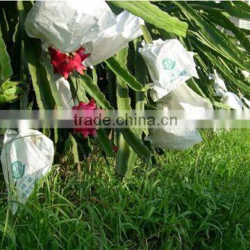 Dragon fruit protective paper bag with different size factory price