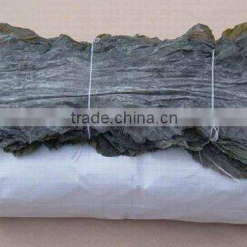 AD Drying Process Dried Kelp/Laminaria For Soup/Food photo-5