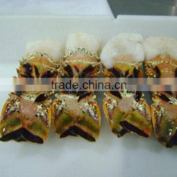 Frozen Lobster Tails