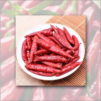 Dried Chili