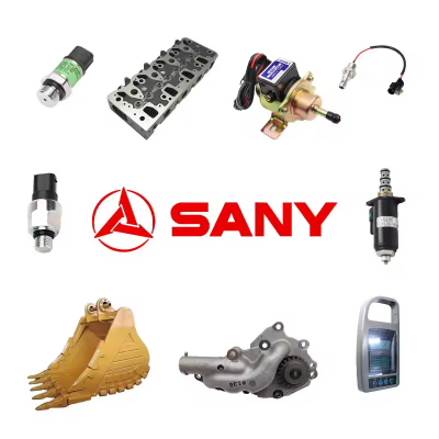 Genuine Excavator Sany Sy75c Excavator Spares Parts Sany Dtaches De La Pelle Excavateur Sany 215c photo-6