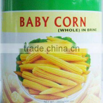 canned baby corn whole in tin(can)