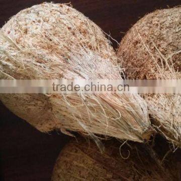 coconut buyers - wanted