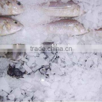 1000kg Production Industrial Flake Ice Maker photo-4
