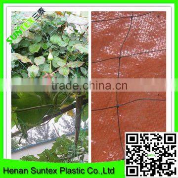 Supper Hdpe Extruded Net Tomato /cucumber Plant Support Net