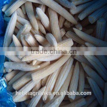 Frozen Style Baby Corn Whole photo-3