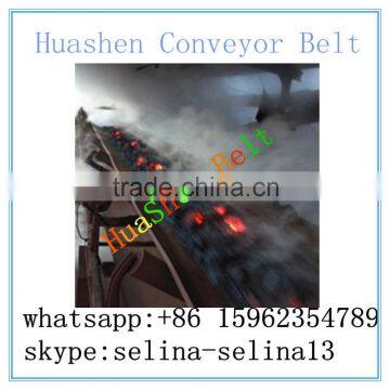 Made in china high quality 180 degree heat resistant Nylon conveyor belt for power plant